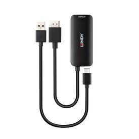 Lindy Video adapter kit HDMI, USB-C (power only) to 24 pi | 43423