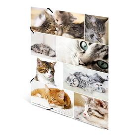HERMA 19219 A3 Cardboard Multicolour 1 pc(s) Elasticated