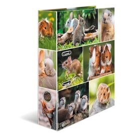 HERMA 19252 A4 Dring Storage Cardboard Multicolour 7 cm 19252