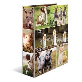 HERMA 19253 A4 Cardboard Multicolour 7 cm 285 mm 315 mm