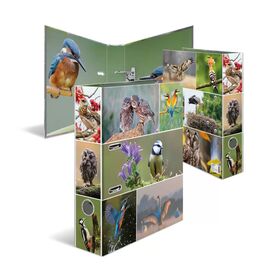 HERMA 19254 A4 Dring Storage Cardboard Multicolour 7 cm