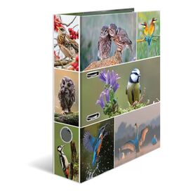 HERMA 19254 A4 Dring Storage Cardboard Multicolour 7 cm