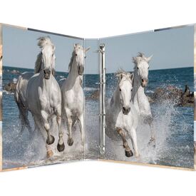 HERMA Ring binder A4 cardboard 4D horses