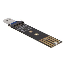 Delock Interface adapter M.2 M.2 Card (PCIe NVMe & SATA) 64197