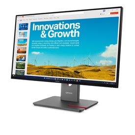 Lenovo ThinkVision P24QD-40 - LED monitor - 24"