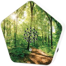 Olympia  Sound therapy speakers with nature sounds
