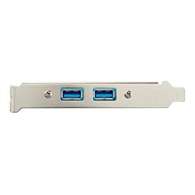 StarTech 2-Port USB 3.0 Slot Plate Adapter 50cm