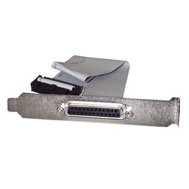 StarTech DB25 Parallel Slot Plate 40cm Grey