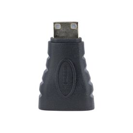 StarTech Mini HDMI to HDMI Adapter 4K Black