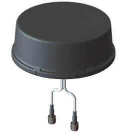 Cisco ANT-2-4G2-O Cellular 2-in-1 Outdoor Antenna | 2x2 MIMO | IP67