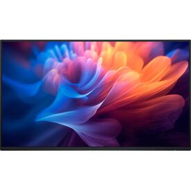 Dell Pro P2725H 27 inch Full HD Monitor No Stand