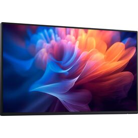 Dell Pro P2725H 27 inch Full HD Monitor No Stand