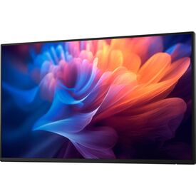 Dell Pro P2725H 27 inch Full HD Monitor No Stand