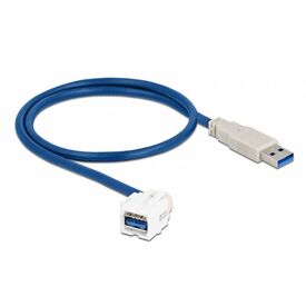 Delock Keystone Module USB 5 Gbps Type-A Female to Type-A Male | White