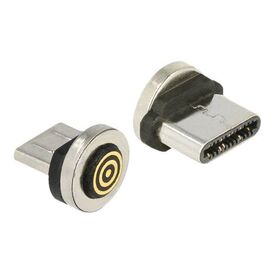 Delock Magnetic Adapter USB Type-C male 65933