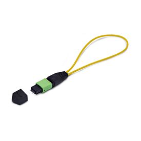 StarTech.com MPO Loopback Plug OS2 9/125 MPO-12