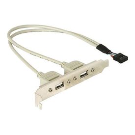Delock USB Panel 10 pin to 2x USB A, 30 cm
