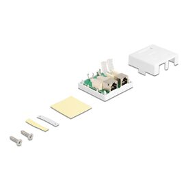 Delock 86269 Wall Outlet 2 Port Cat.6 Shielded White