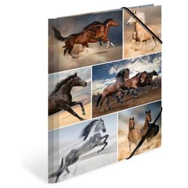 HERMA Elasticated Folder A4 Cardboard Horses