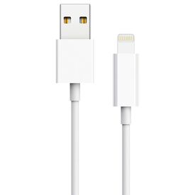 2GO 794888 white USB-A to Lightning cable