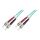 Assmann 04:154721