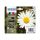 Epson 18XL 4-pack XL C13T18164012 Epson 18XL 4-pack XL C13T18164012