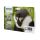 Epson T0895 Multipack 4-pack black, yellow, C13T08954010 Epson T0895 Multipack 4-pack black, yellow, C13T08954010