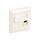 Digital Data Flush mount wallplate pure white 3 761304