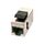 LINDY Modular insert (coupling) 25999