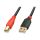 Lindy - USB cable - USB (M) to USB Type B (M) - USB 2.0 - | 42762