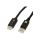 TECHly - Adapter cable - DisplayPort male to H | ICOC-DSP-H12-010 TECHly - Adapter cable - DisplayPort male to H | ICOC-DSP-H12-010