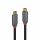 Lindy 2m USB 3.2 Typ C Kabel 5A PD Anthra Line - 2 m | 36903