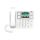 Big Button IP Phone, 3.5-inch 320X240 color screen, Blueto | X305