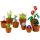 LEGO Icons Tiny Plants | 10329