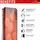DISPLEX Smart Glass / Screen protector for mobile phone / | 01628