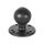 RAM RAM202U Ball mount for PN: RAM202U