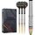 Precise 180 Ricardo Pietreczko 25g Steel Darts 90% Tungsten