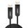 Lindy 38520 UHBR10 hybrid optical DisplayPort cable 10 m Black
