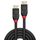 Lindy 41081 20 m active DisplayPort cable, DP 1.2, 4K60, Black