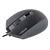 Katar Optical Gaming Mouse