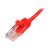 StarTechcom-45PAT7MRD-Cables--Accessories