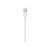 Apple Lightning to USB Cable 50cm | ME291ZMA