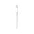 Apple Lightning to USB Cable 1m | 197342