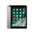 Apple 6th generation 32GB 9.7 IPS 4G LTE space gre