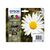 Epson 18 Multipack 4-pack 15.1 ml black, C13T18064012