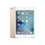 Apple iPad mini 4 Wi-Fi + Cellular Tablet 128 GB MK8E2FDA