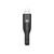 EMTEC Connect iCOBRA2 USB flash drive 64 ECMMD64GT503V2B