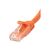 StarTech.com 0.5m Orange Cat6 Cat 6 Snagless N6PATC50CMOR