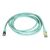 StarTech.com 2m Aqua Cat6a Cat 6a Shielded 6ASPAT2MAQ