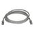 StarTech.com 2m Gray Cat6a Cat 6a Shielded 6ASPAT2MGR
